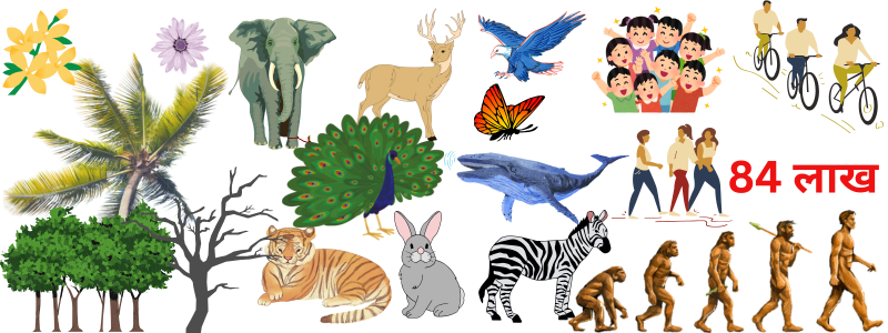 84 लाख योनियों का रहस्य ​